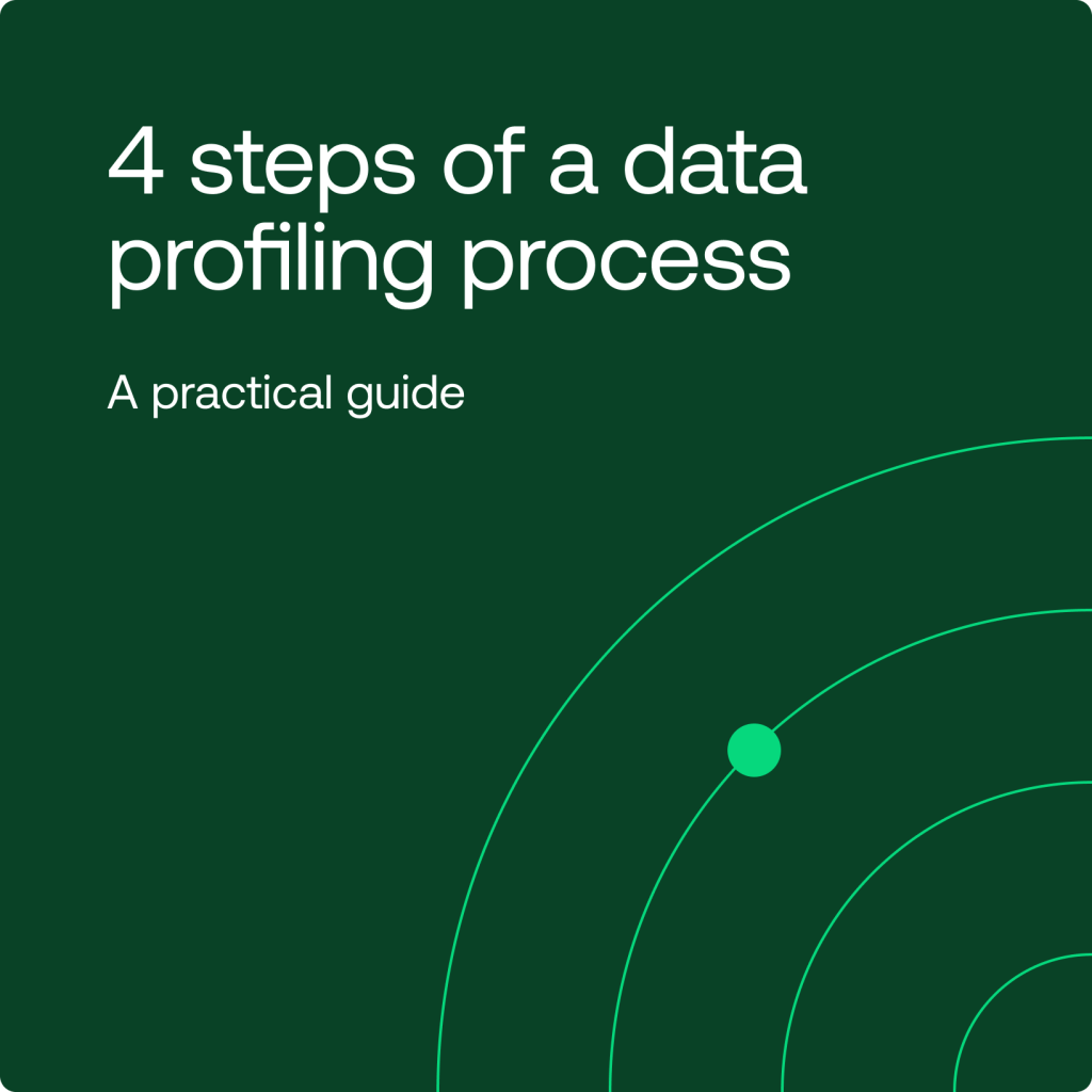 4 Steps of the Data Profiling Process