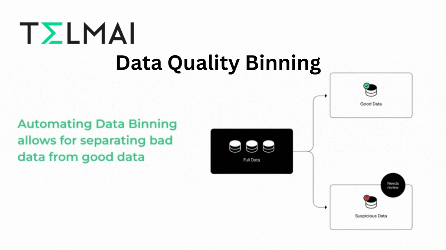Data Quality Binning What is it and Why do you need it? Telmai