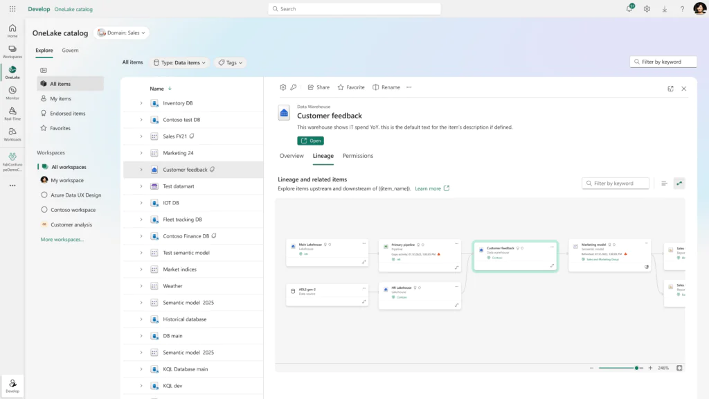 Onelake Catalog | Telmai